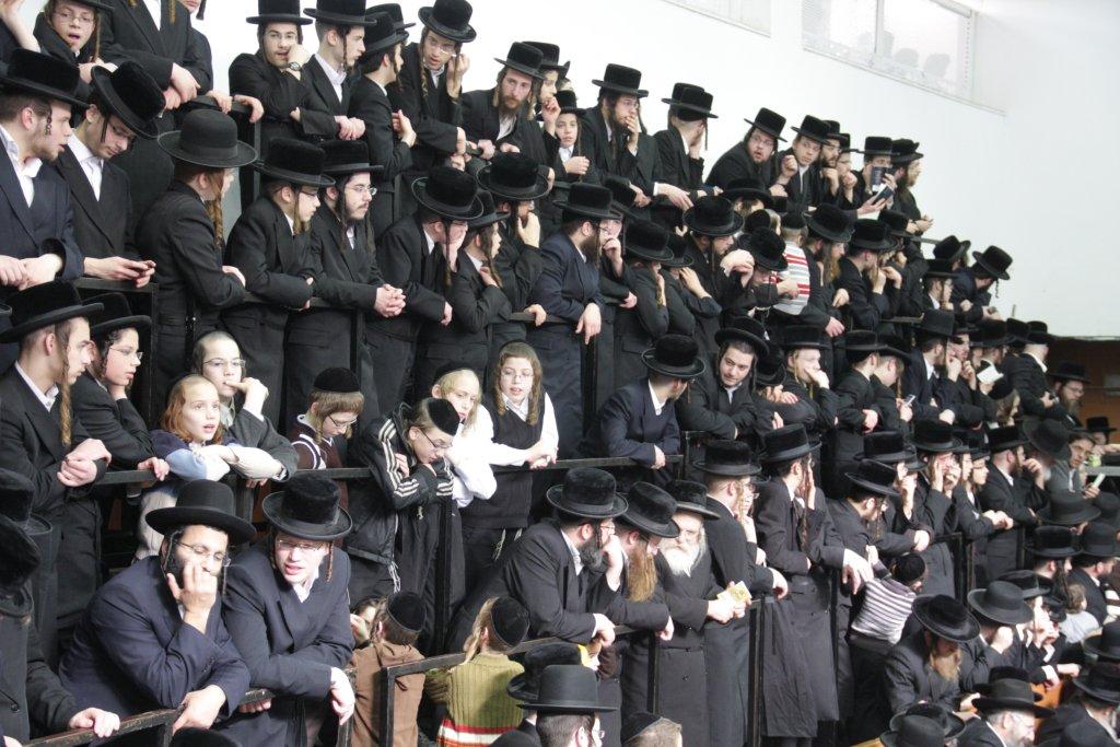 פרויקט ט"ו בשבט: תיעוד מעשרות טישים