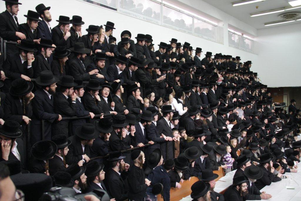 פרויקט ט"ו בשבט: תיעוד מעשרות טישים