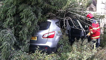 תמונות: רכב התגנש בעצים ובצינור מים