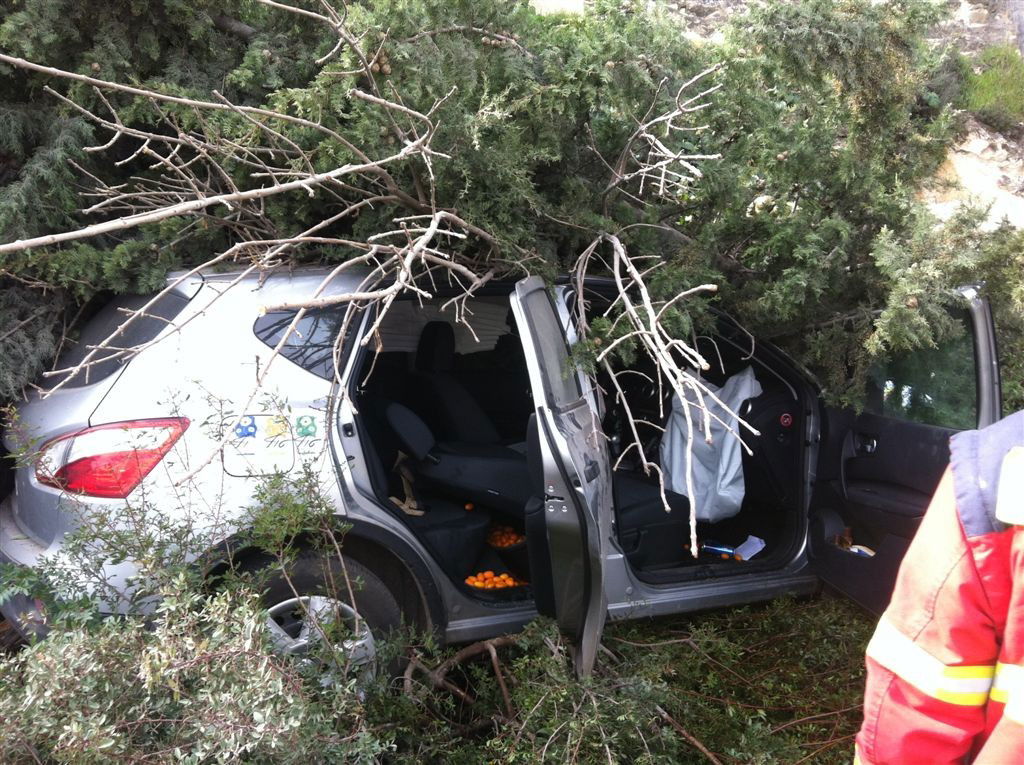 תמונות: רכב התגנש בעצים ובצינור מים