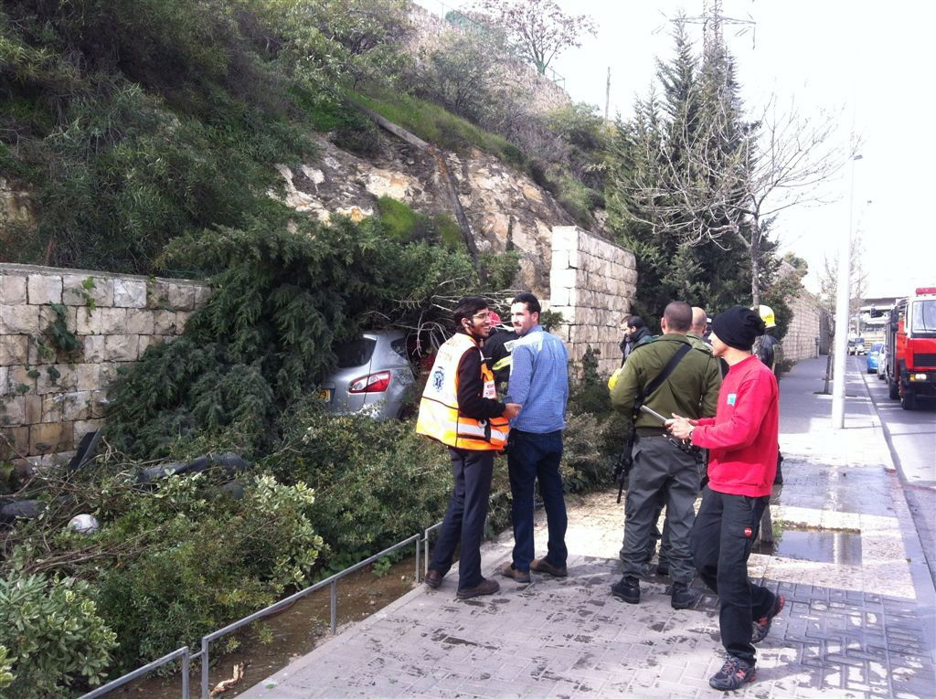 תמונות: רכב התגנש בעצים ובצינור מים