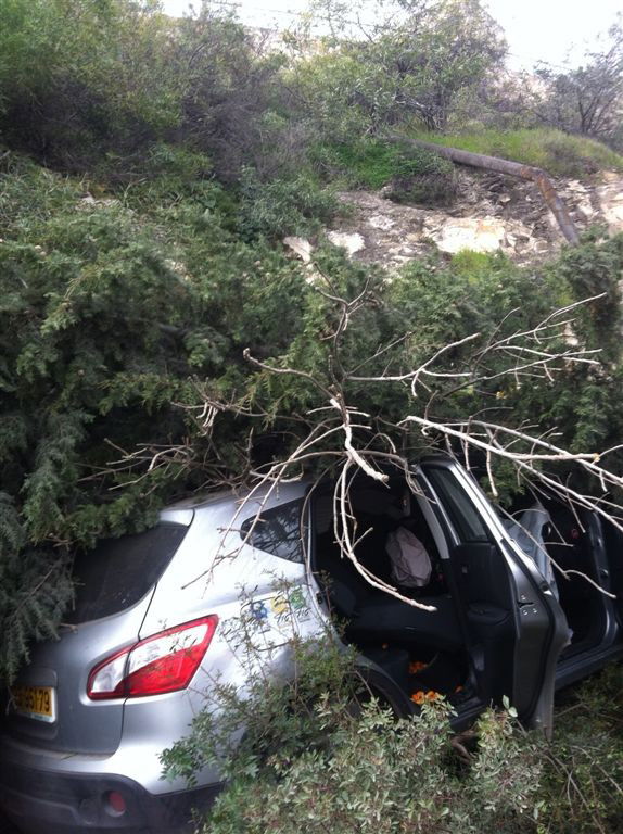 תמונות: רכב התגנש בעצים ובצינור מים