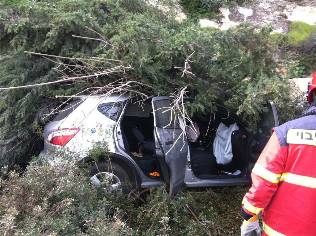 תמונות: רכב התגנש בעצים ובצינור מים