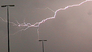 הסערה הגדולה כבר כאן: עצים נעקרו ברוח, שלושה נפצעו קל