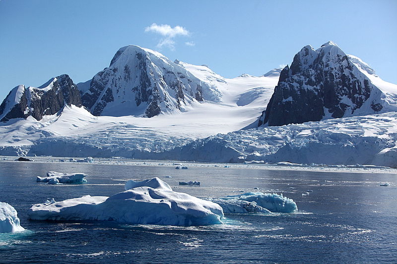 מאיר אלפסי באנטרטיקה: גלריה מעולם אחר