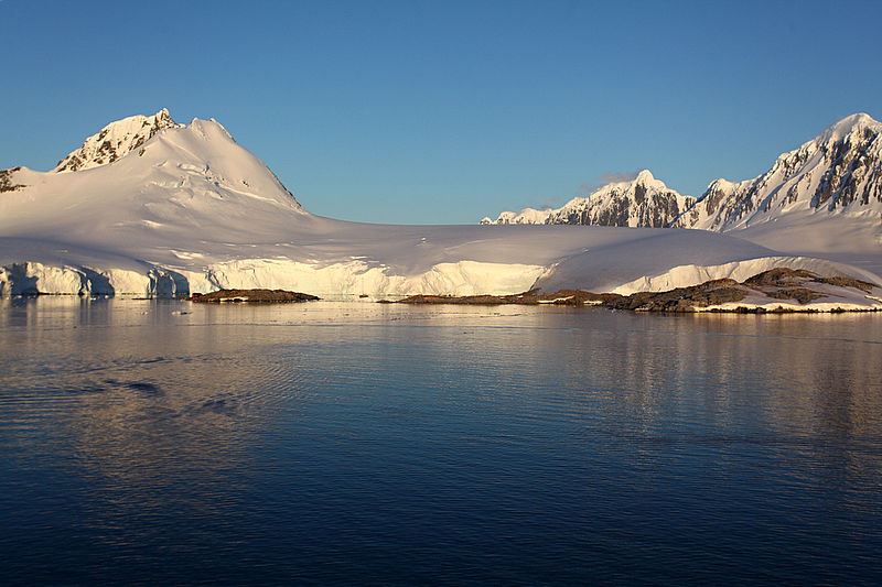 מאיר אלפסי באנטרטיקה: גלריה מעולם אחר