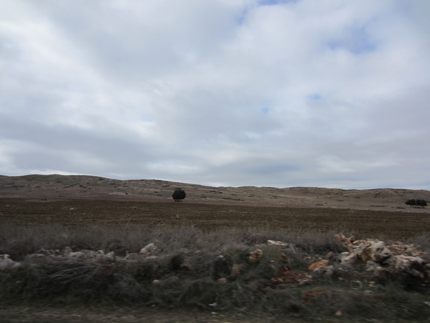 בחזרה לשורשים: מסע מרהיב במרוקו