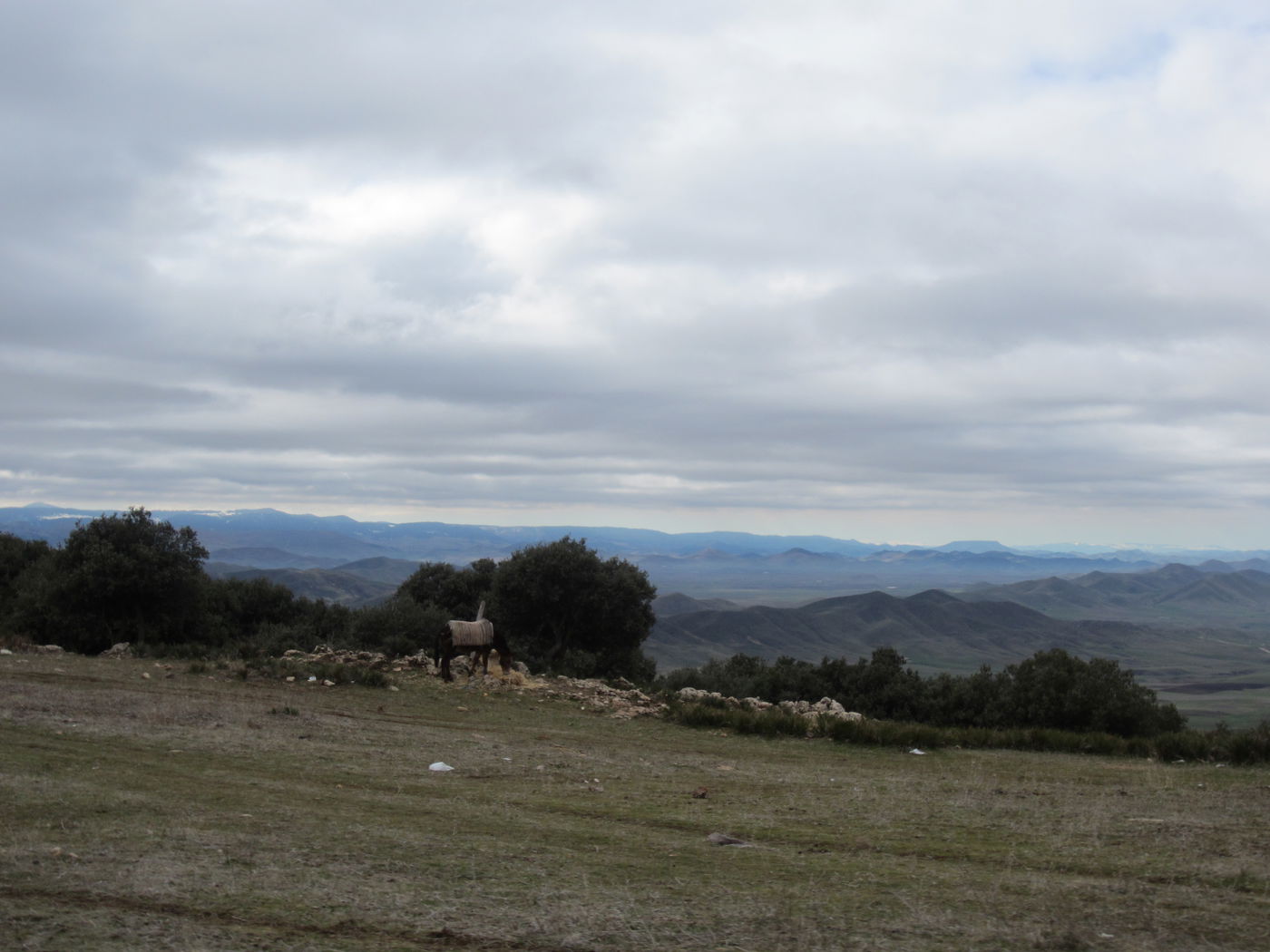 בחזרה לשורשים: מסע מרהיב במרוקו