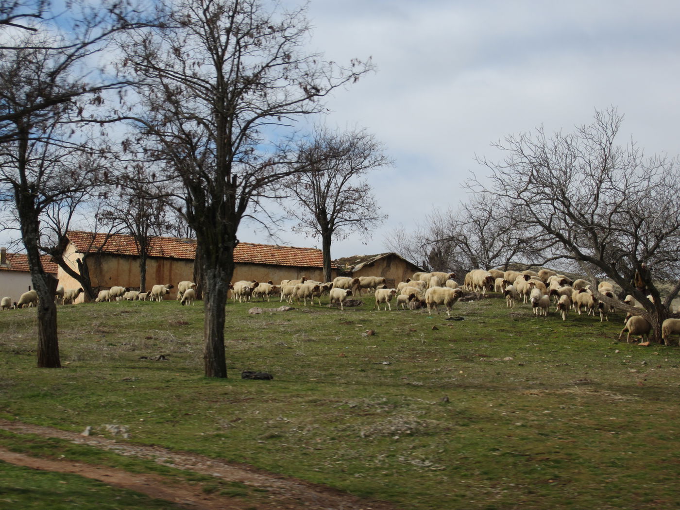 בחזרה לשורשים: מסע מרהיב במרוקו