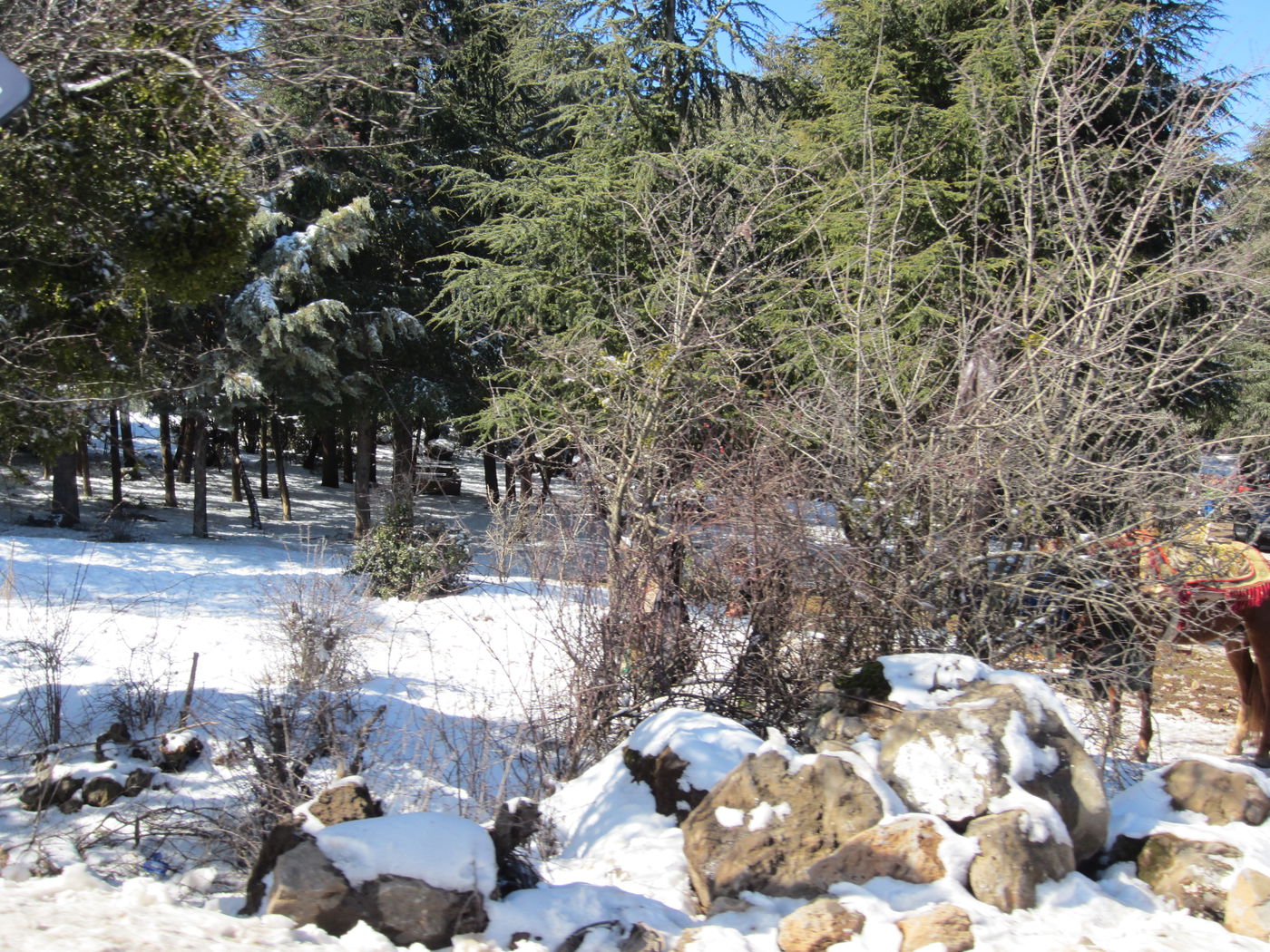 בחזרה לשורשים: מסע מרהיב במרוקו