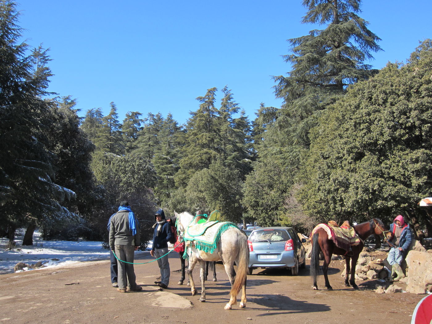 בחזרה לשורשים: מסע מרהיב במרוקו