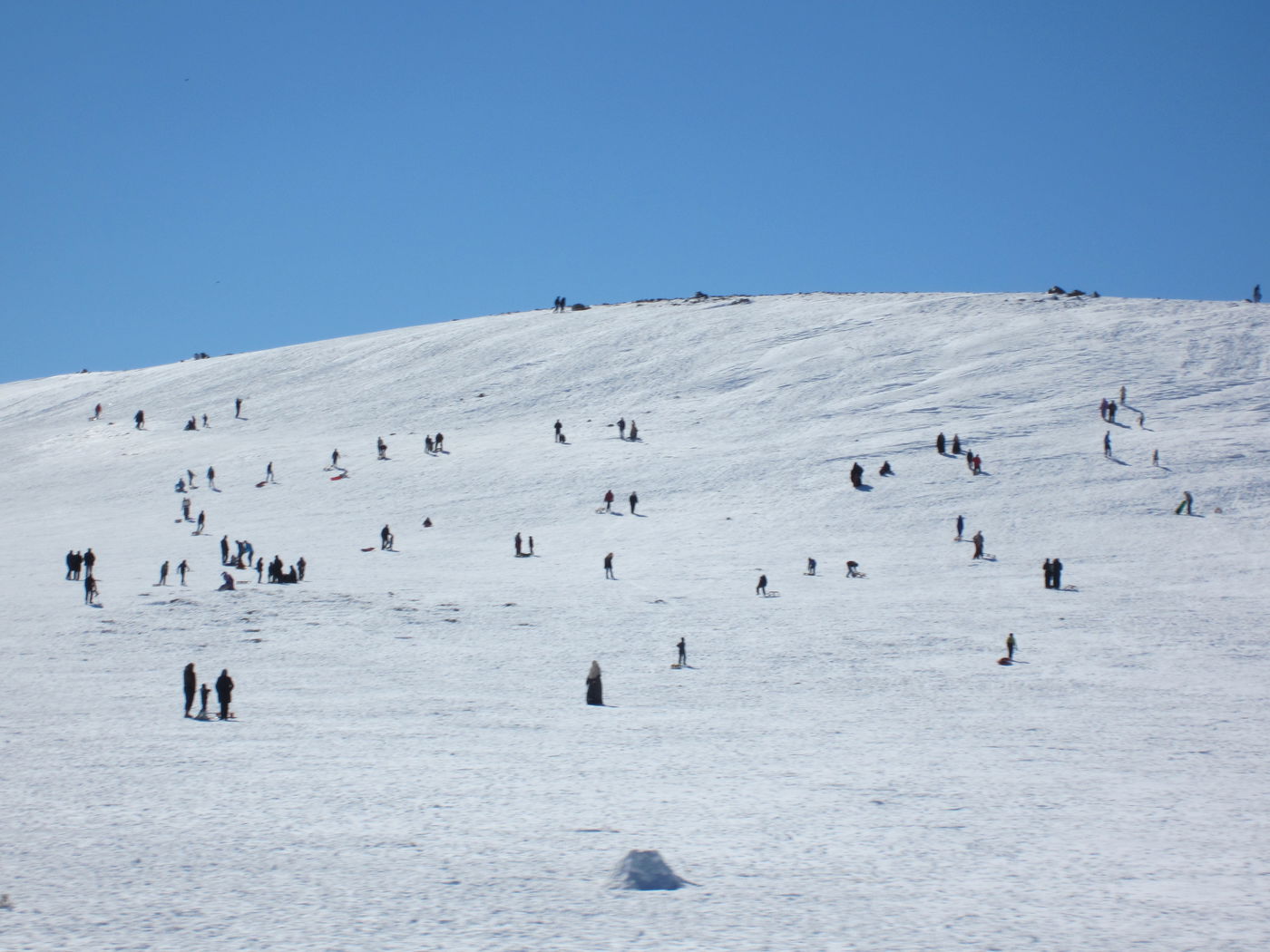 בחזרה לשורשים: מסע מרהיב במרוקו