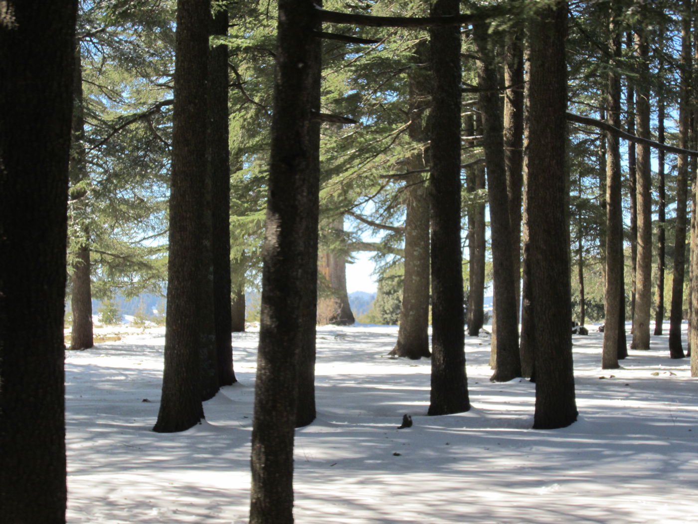 בחזרה לשורשים: מסע מרהיב במרוקו