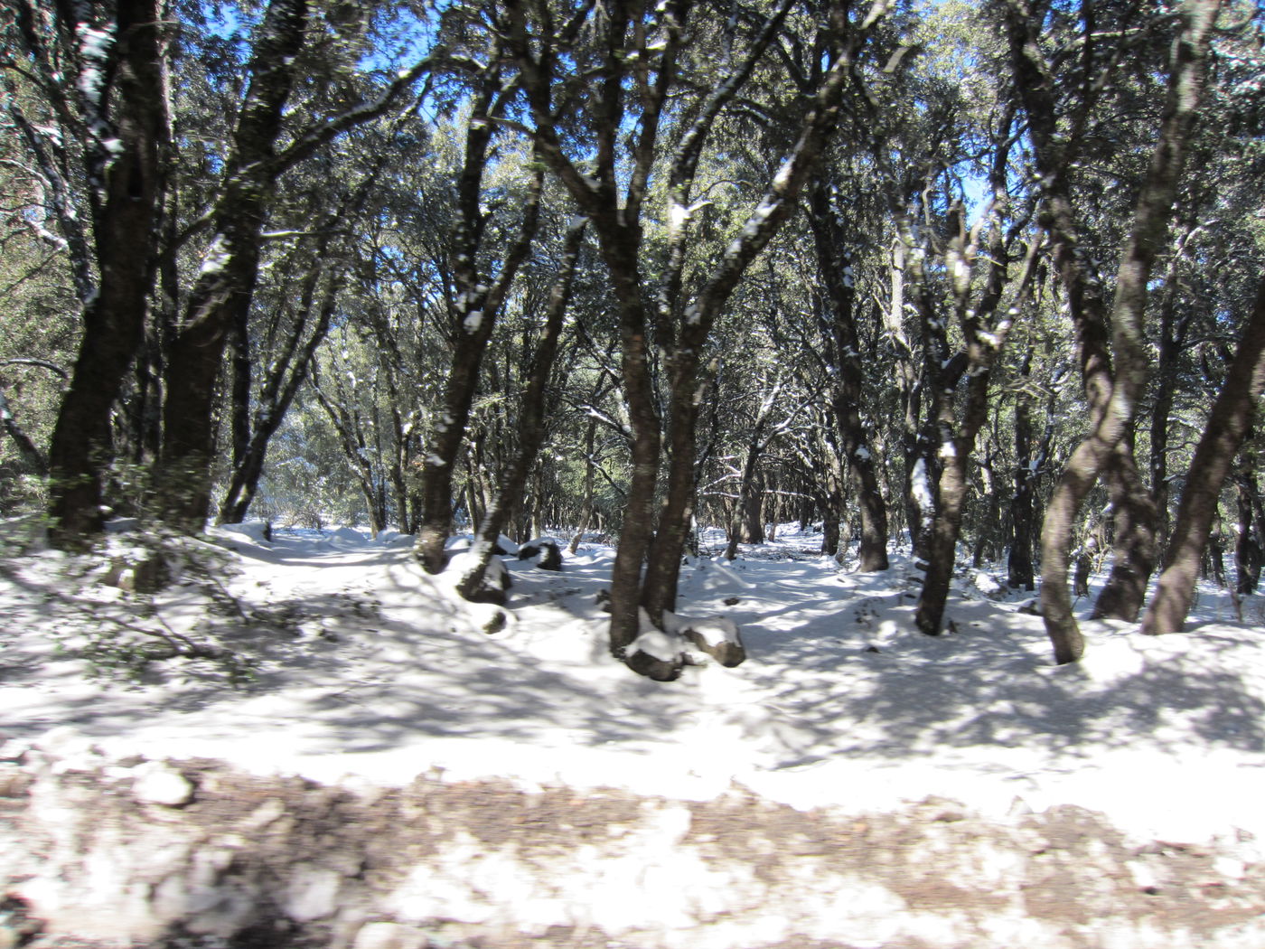 בחזרה לשורשים: מסע מרהיב במרוקו