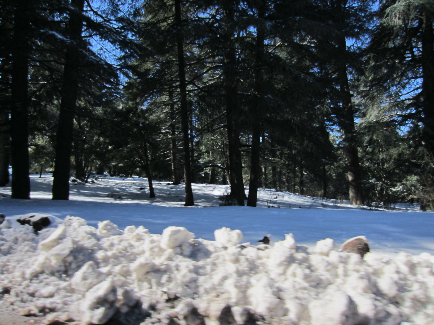 בחזרה לשורשים: מסע מרהיב במרוקו