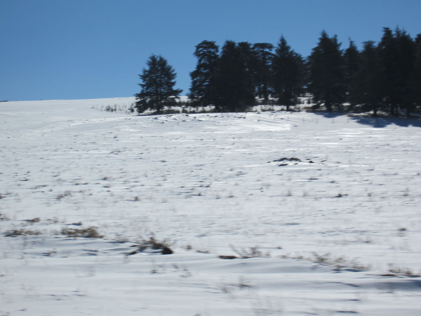 בחזרה לשורשים: מסע מרהיב במרוקו