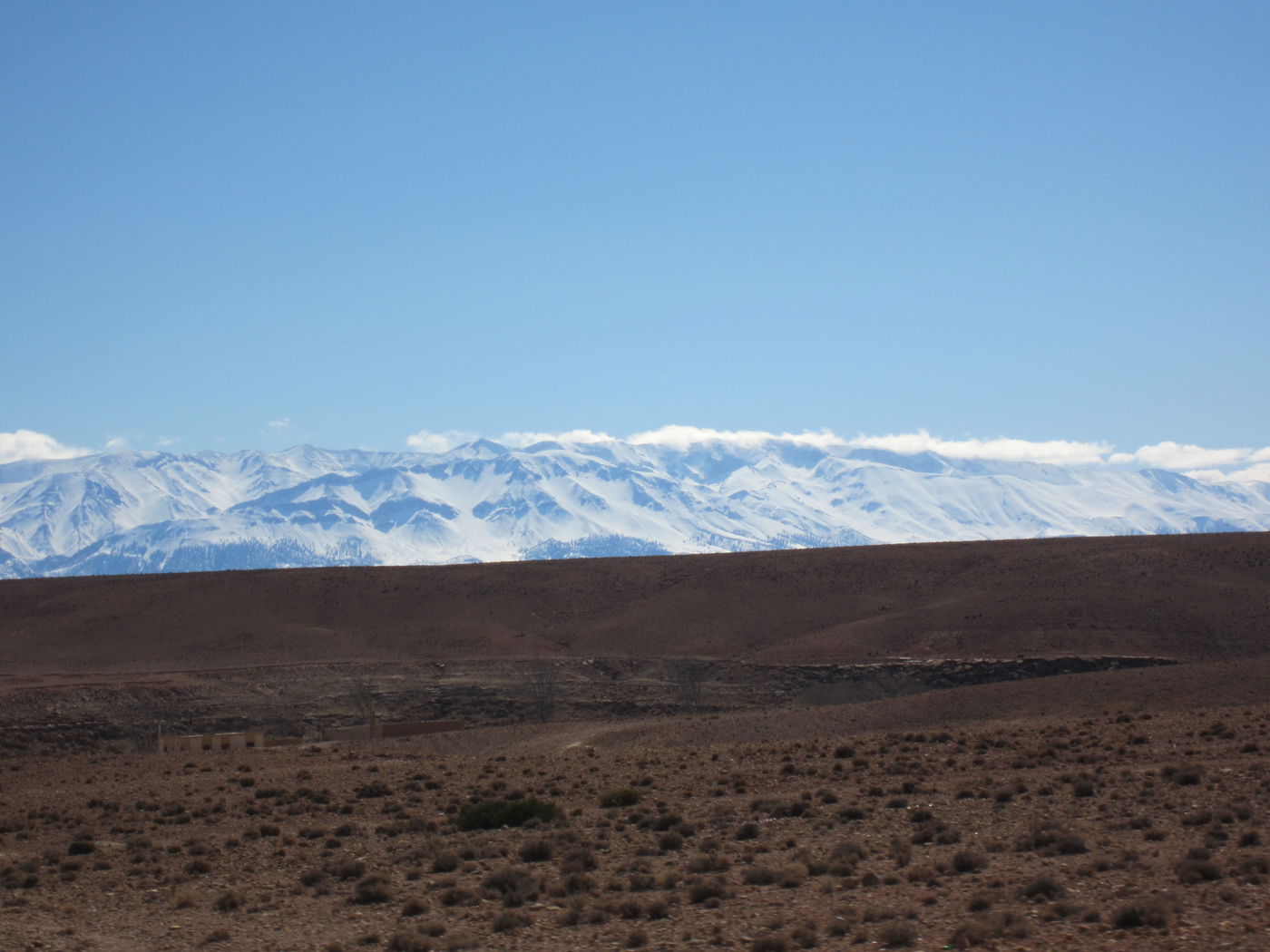 בחזרה לשורשים: מסע מרהיב במרוקו