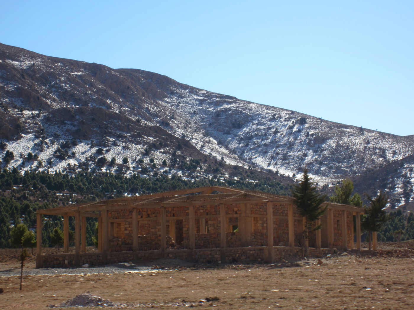 בחזרה לשורשים: מסע מרהיב במרוקו