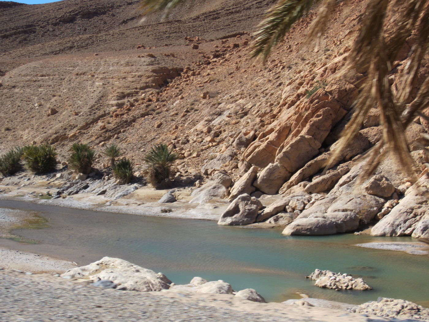 בחזרה לשורשים: מסע מרהיב במרוקו
