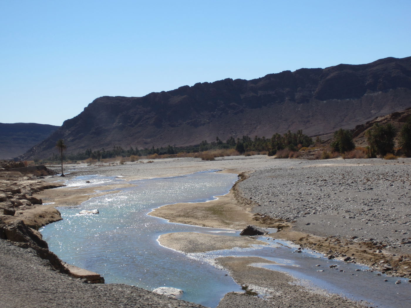 בחזרה לשורשים: מסע מרהיב במרוקו