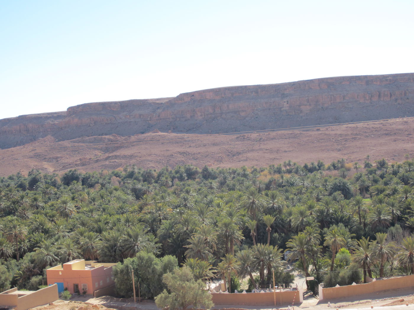 בחזרה לשורשים: מסע מרהיב במרוקו