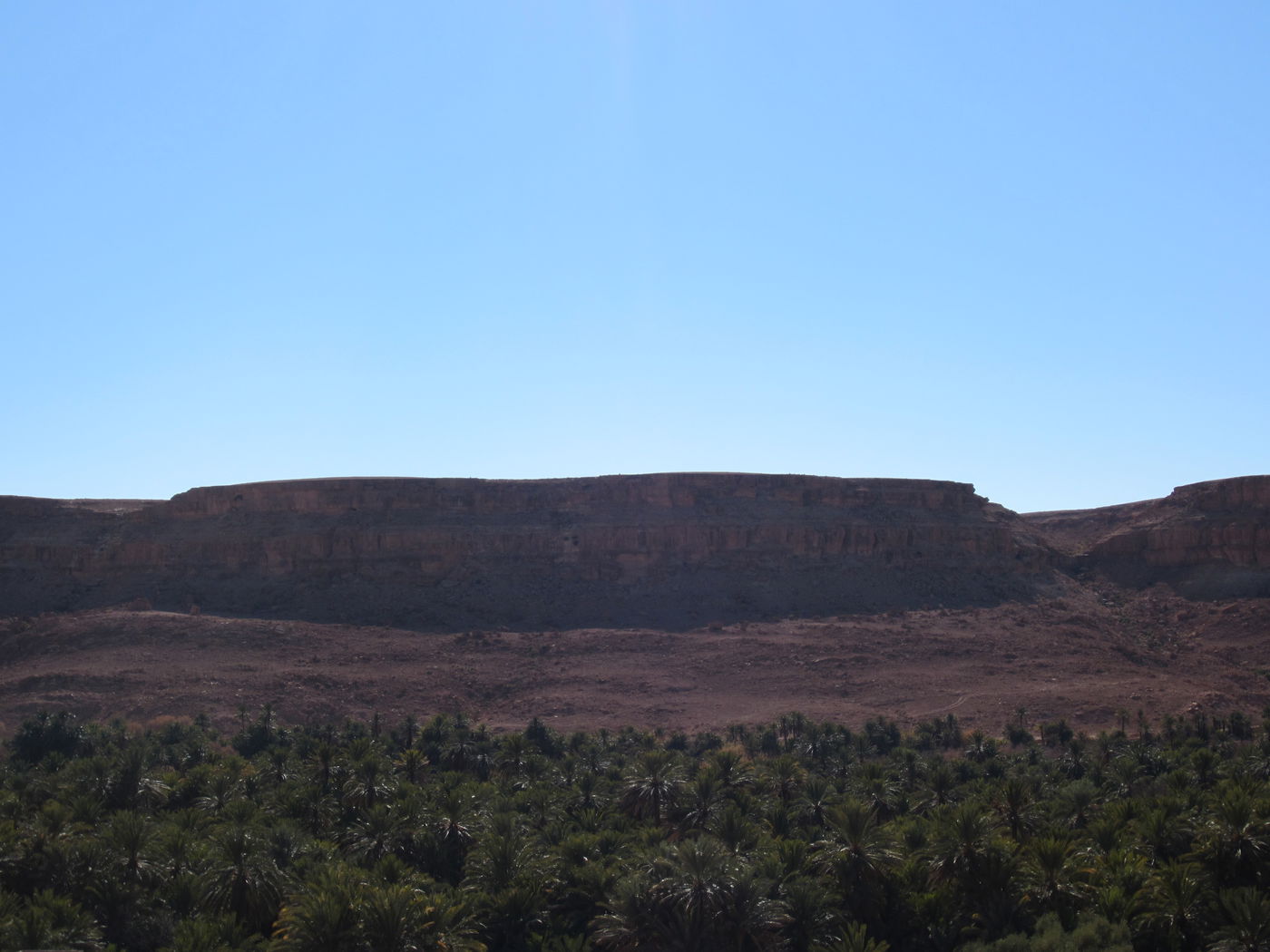 בחזרה לשורשים: מסע מרהיב במרוקו