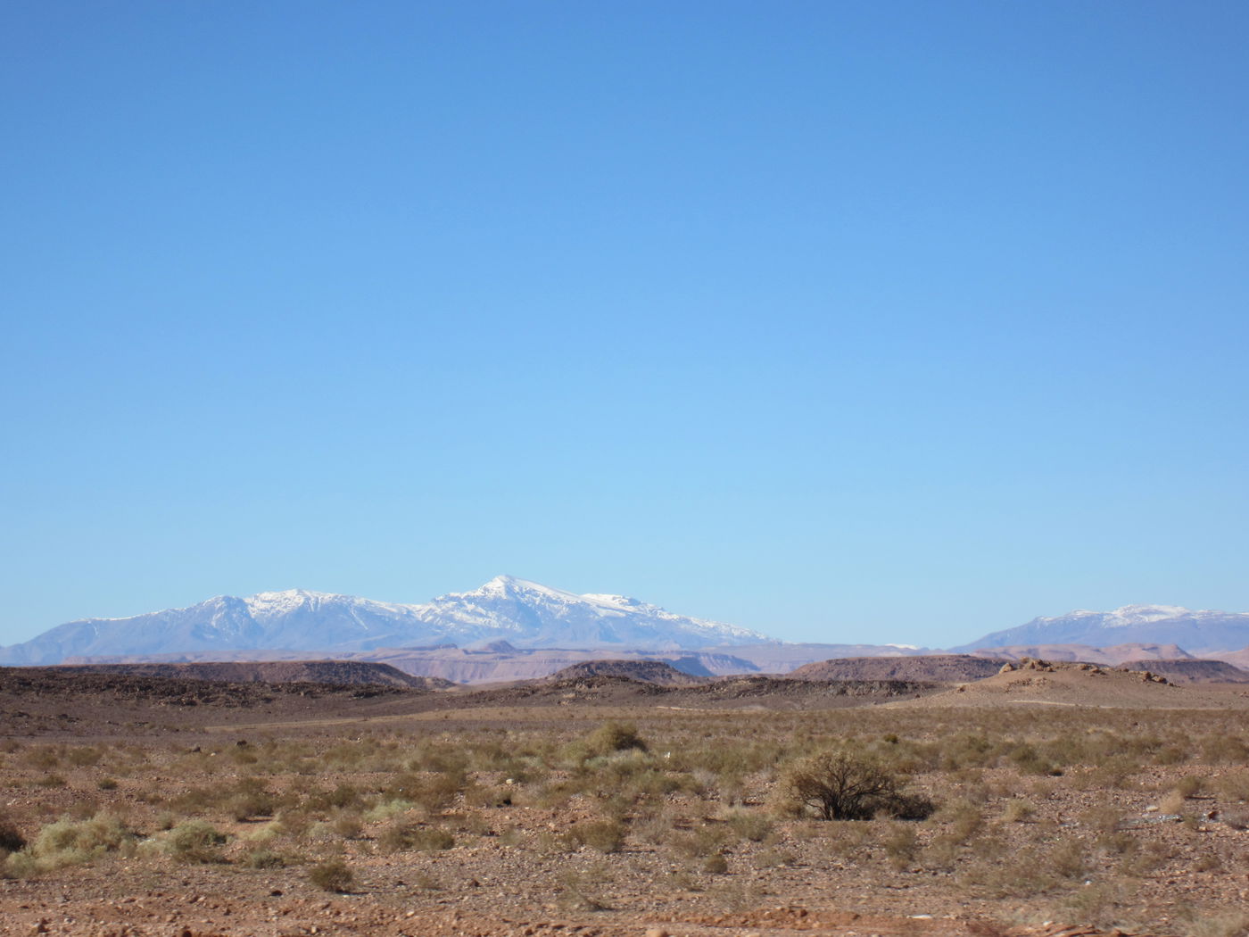 בחזרה לשורשים: מסע מרהיב במרוקו