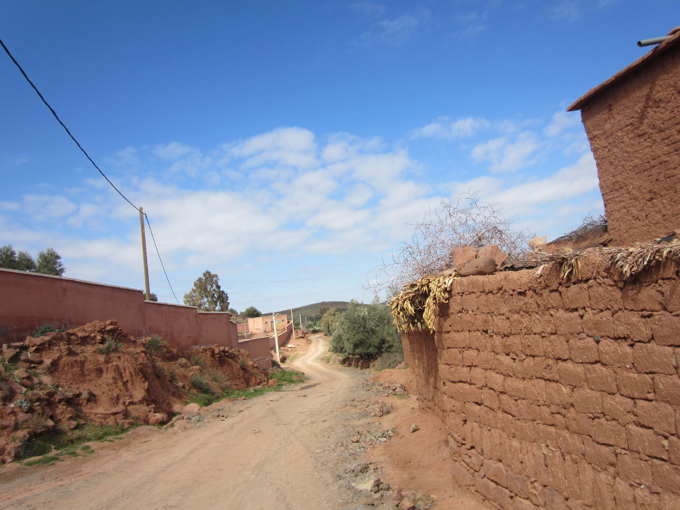 בחזרה לשורשים: מסע מרהיב במרוקו