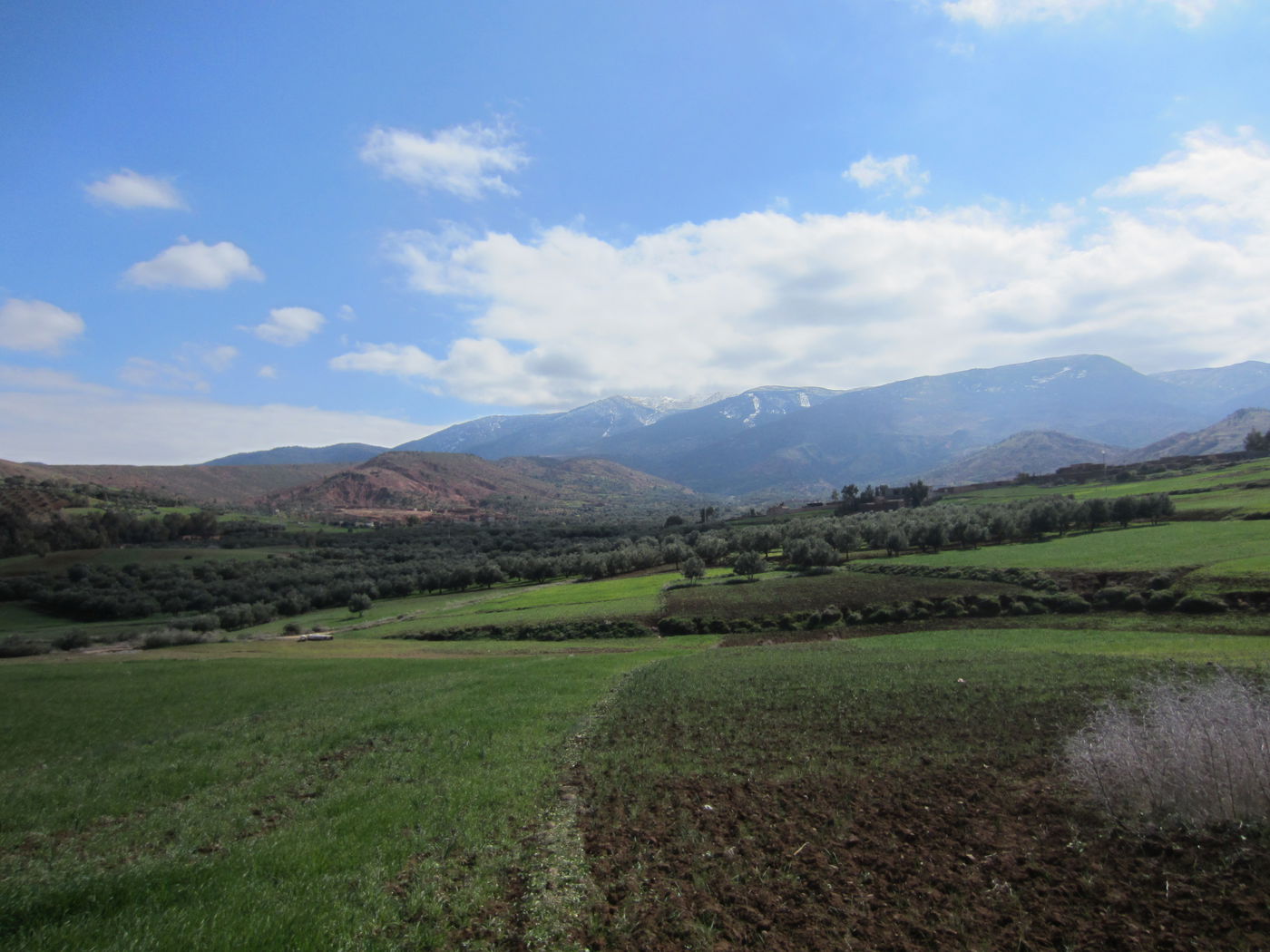 בחזרה לשורשים: מסע מרהיב במרוקו