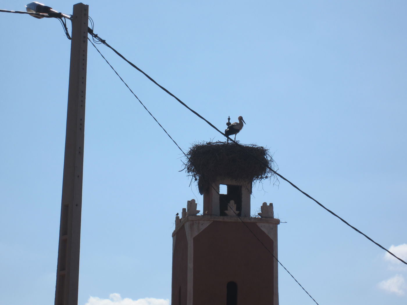 בחזרה לשורשים: מסע מרהיב במרוקו
