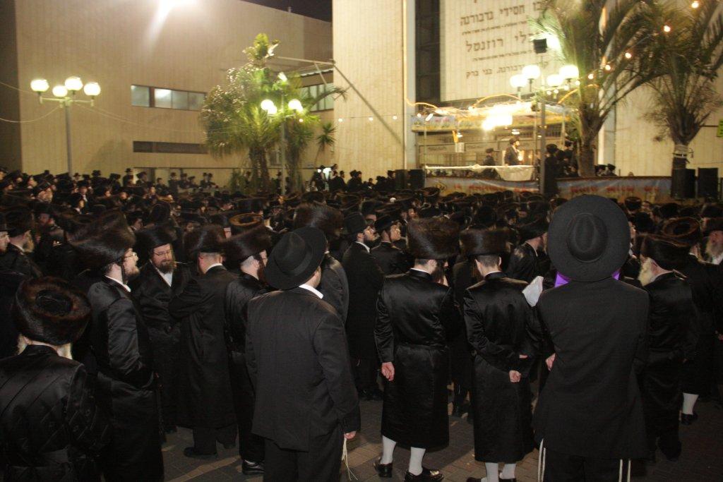 גלריה: חתונת נכדת האדמו"ר מנדבורנה