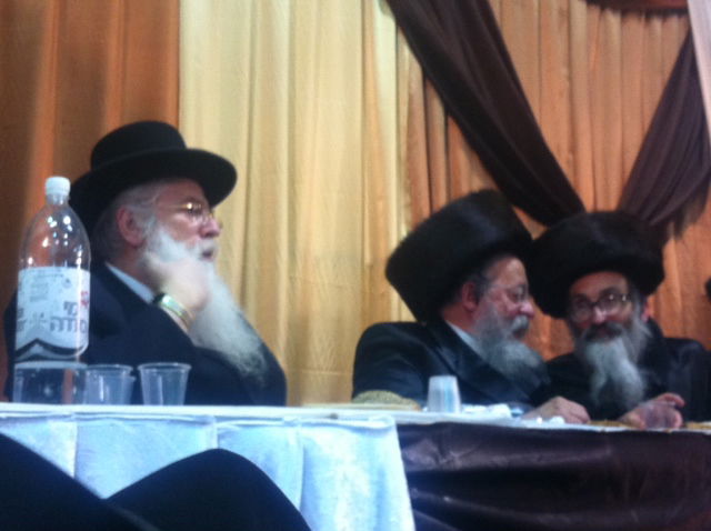 תמונות: חתונת נכד האדמו"ר מסלונים