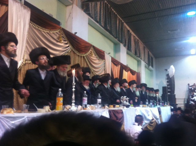 תמונות: חתונת נכד האדמו"ר מסלונים