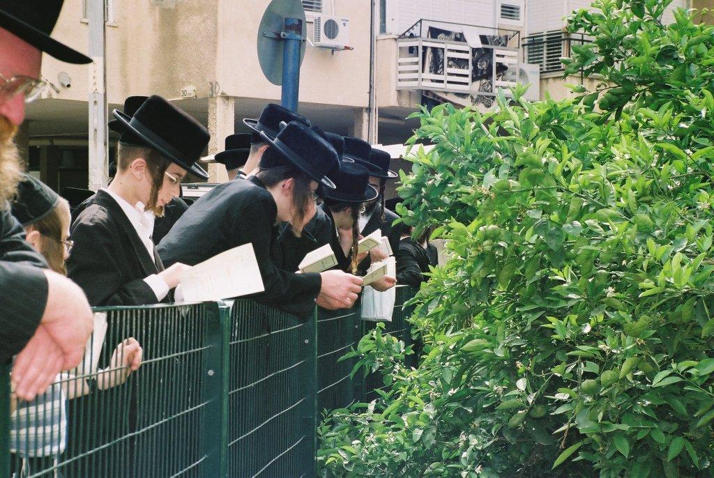 80 שנות תורה וחסידות • תמונות מחיי האדמו"ר מנדבורנה