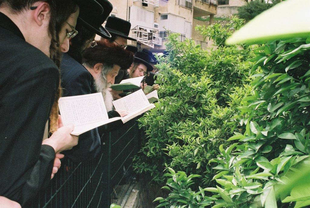 80 שנות תורה וחסידות • תמונות מחיי האדמו"ר מנדבורנה