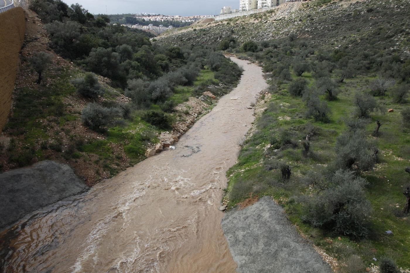 מודיעין עילית: נפטרה הילדה החרדית שנסחפה במי הנחל