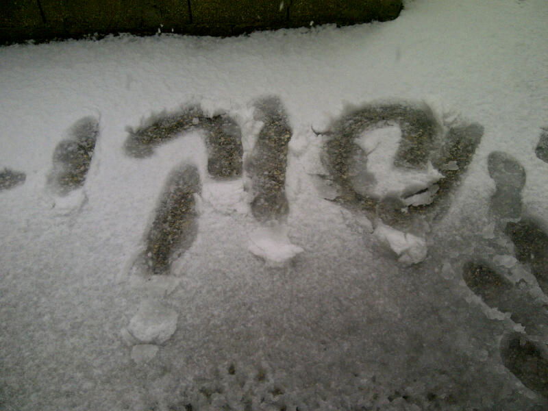 שלג בירושלים: גלריית תמונות מרהיבות של גולשי כיכר השבת