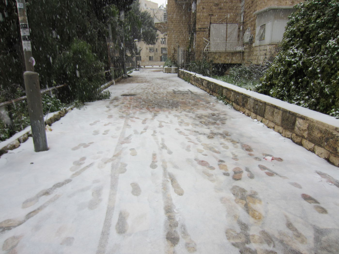 ירושלים מכוסה שלג, הלימודים בעיר הושבתו ● גלריה לבנה