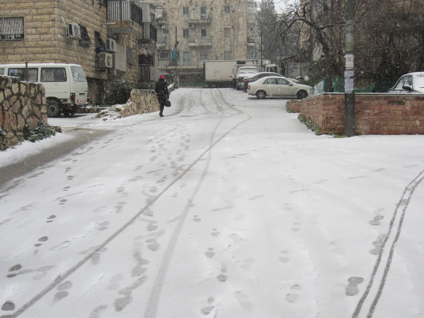 ירושלים מכוסה שלג, הלימודים בעיר הושבתו ● גלריה לבנה