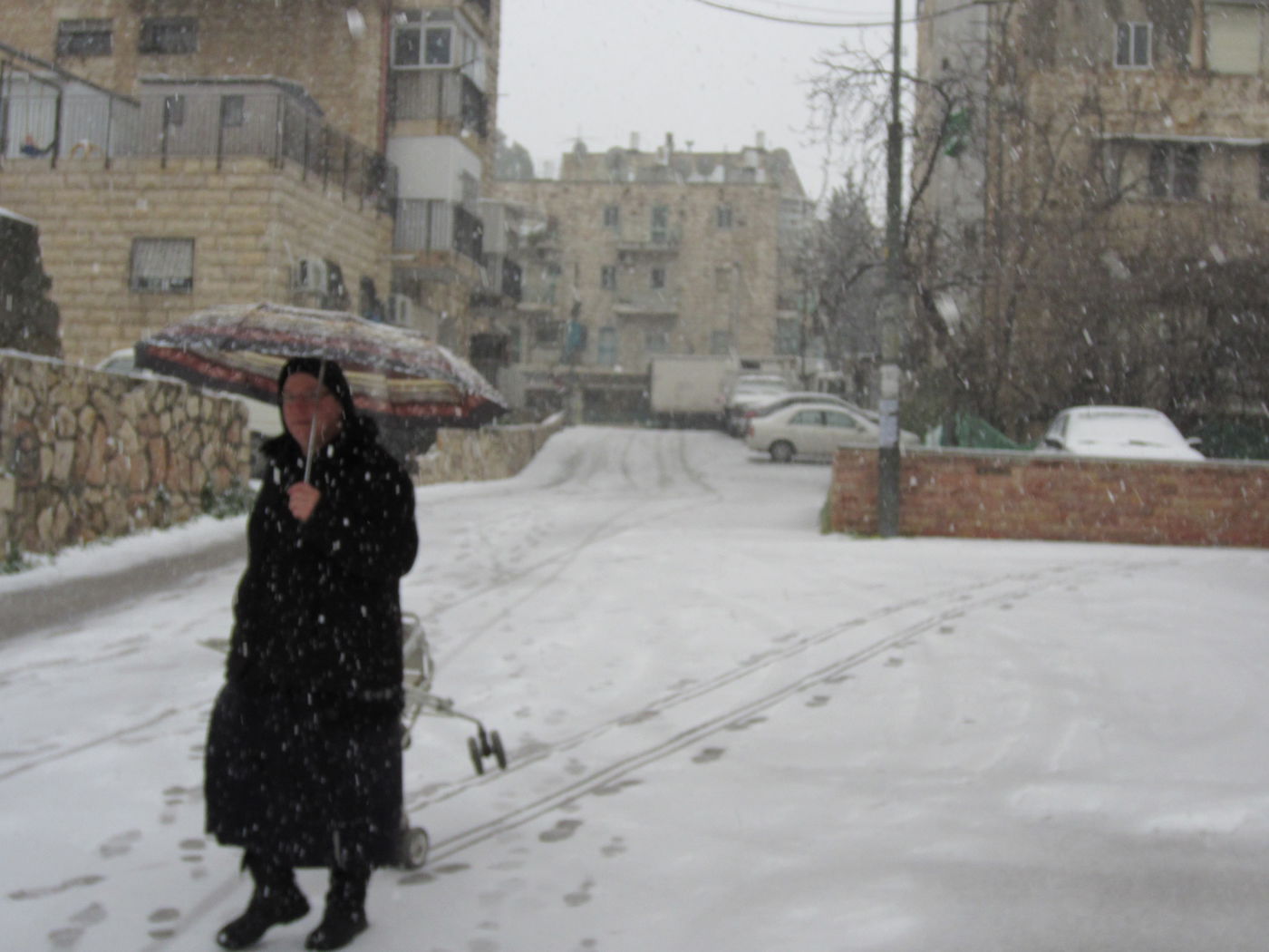 ירושלים מכוסה שלג, הלימודים בעיר הושבתו ● גלריה לבנה