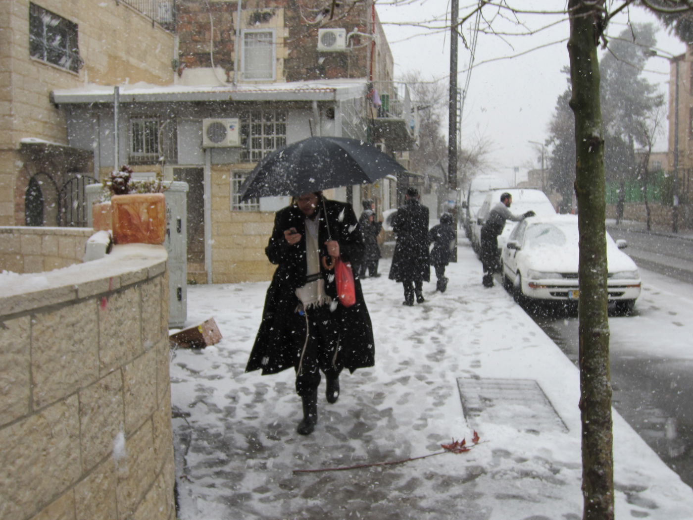 ירושלים מכוסה שלג, הלימודים בעיר הושבתו ● גלריה לבנה