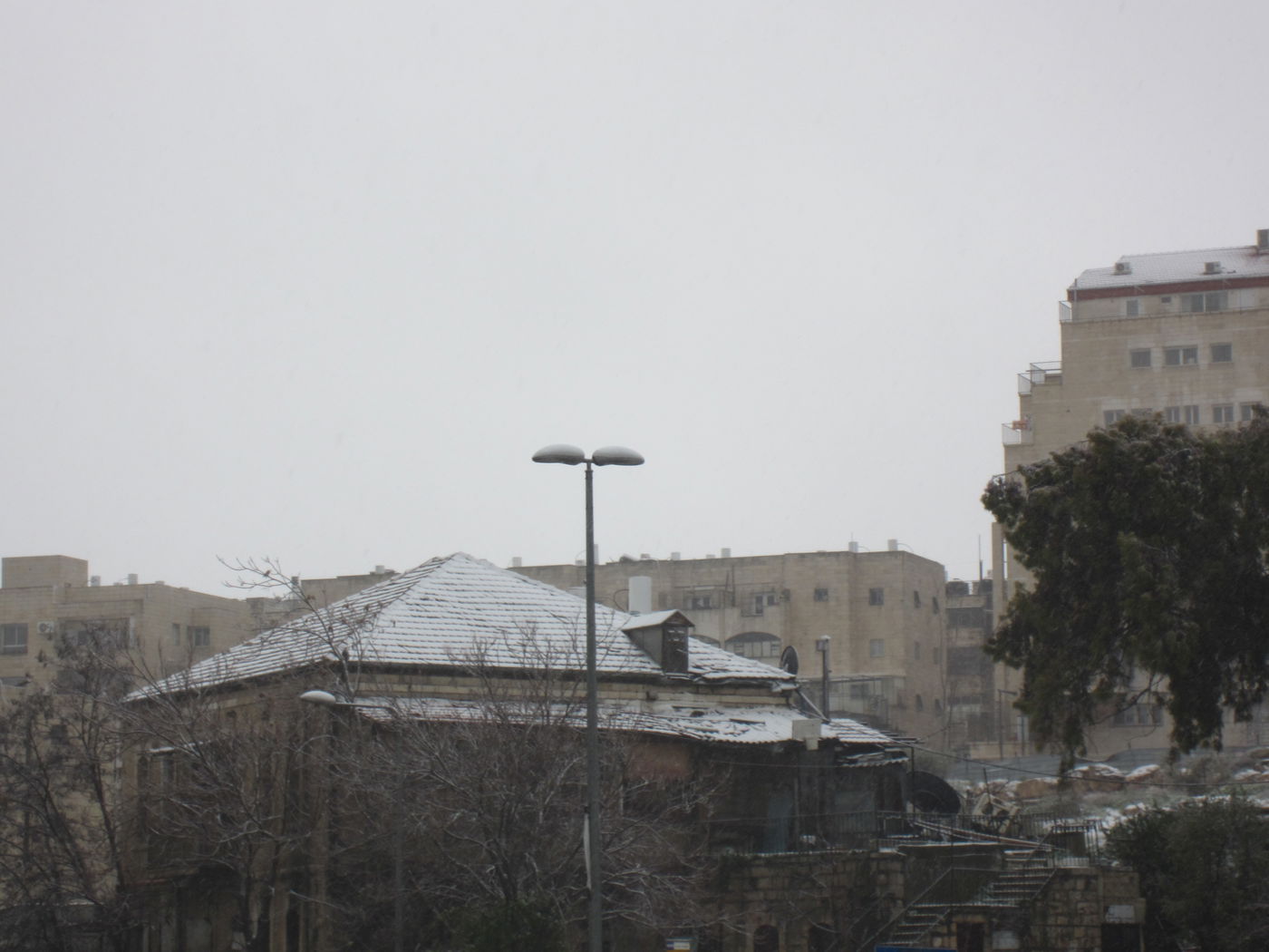 ירושלים מכוסה שלג, הלימודים בעיר הושבתו ● גלריה לבנה