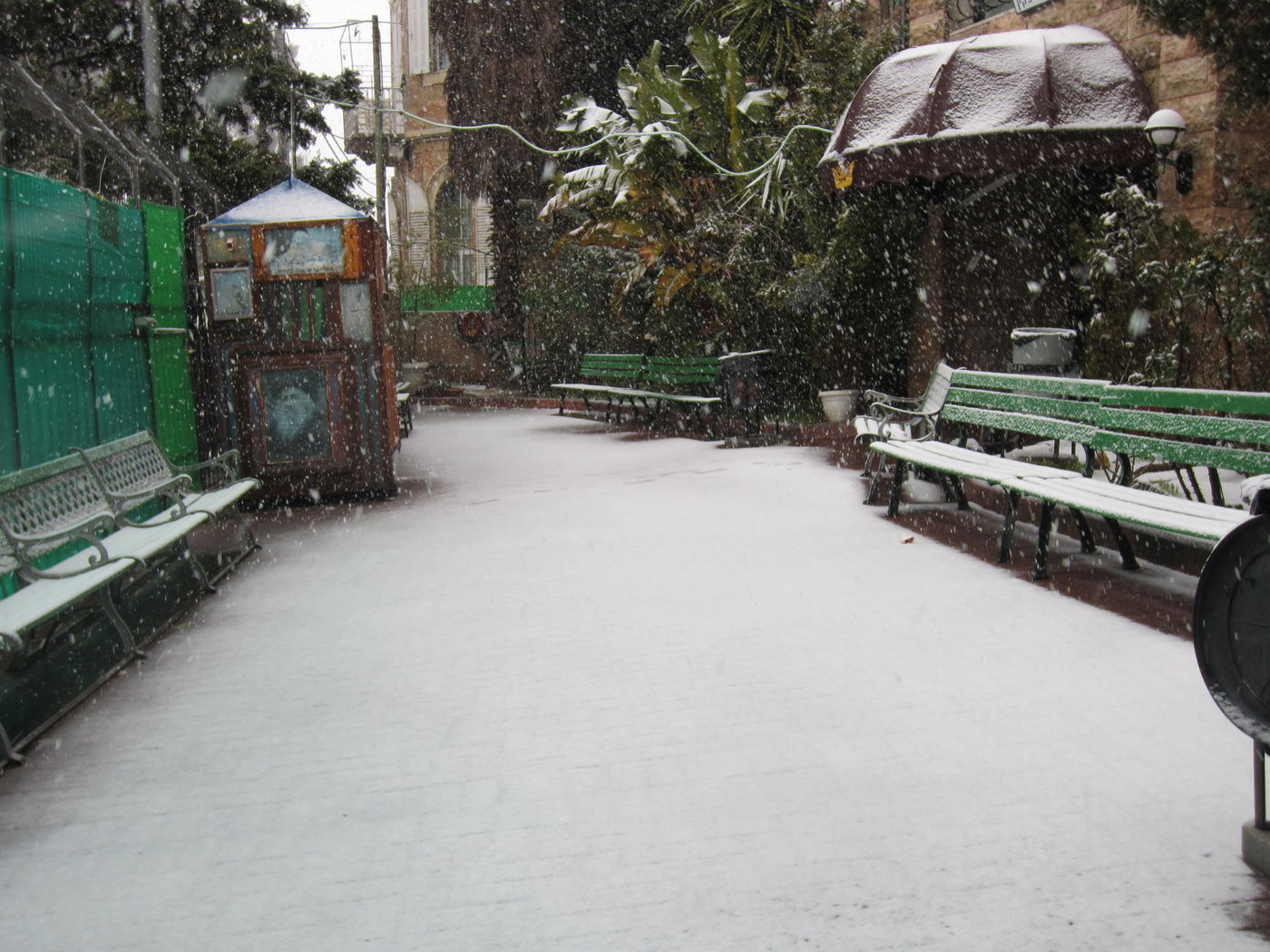 ירושלים מכוסה שלג, הלימודים בעיר הושבתו ● גלריה לבנה