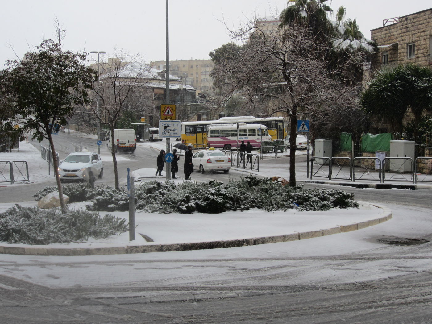 ירושלים מכוסה שלג, הלימודים בעיר הושבתו ● גלריה לבנה
