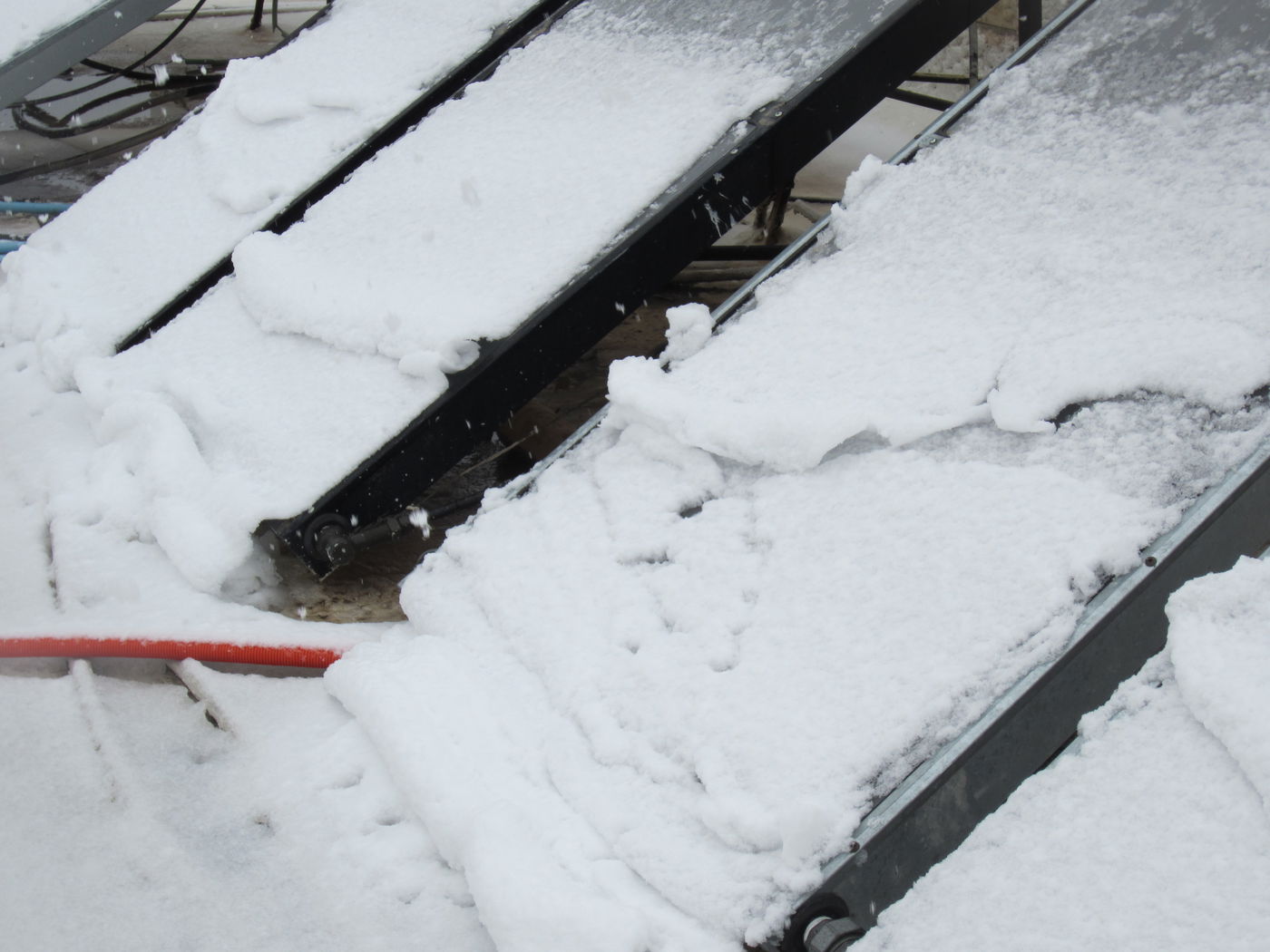 ירושלים מכוסה שלג, הלימודים בעיר הושבתו ● גלריה לבנה