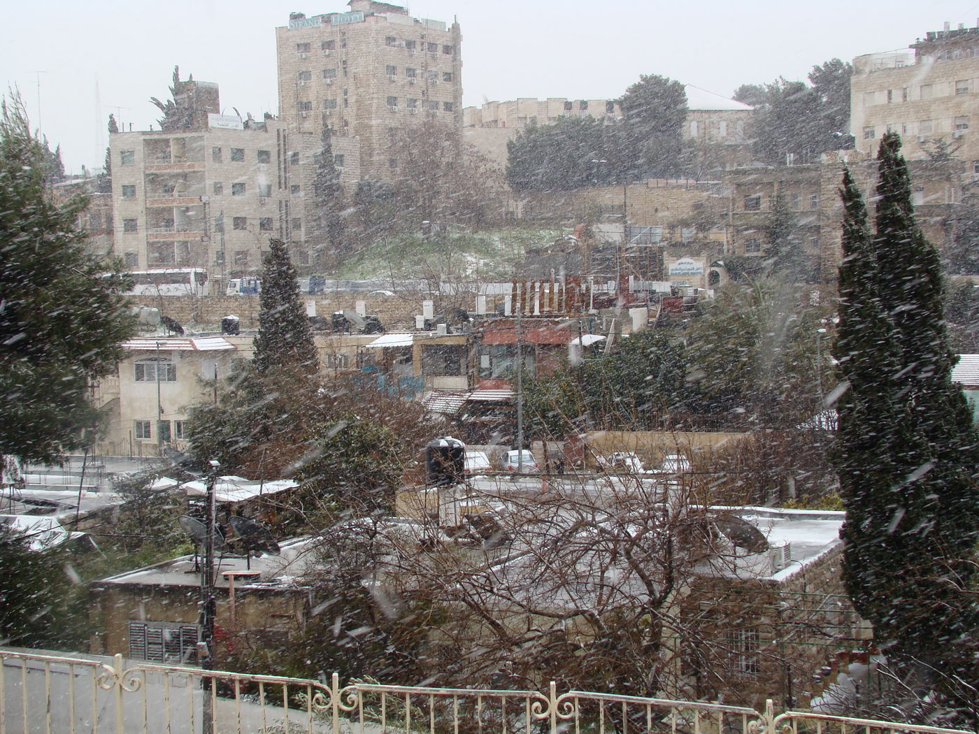 ירושלים מכוסה שלג, הלימודים בעיר הושבתו ● גלריה לבנה