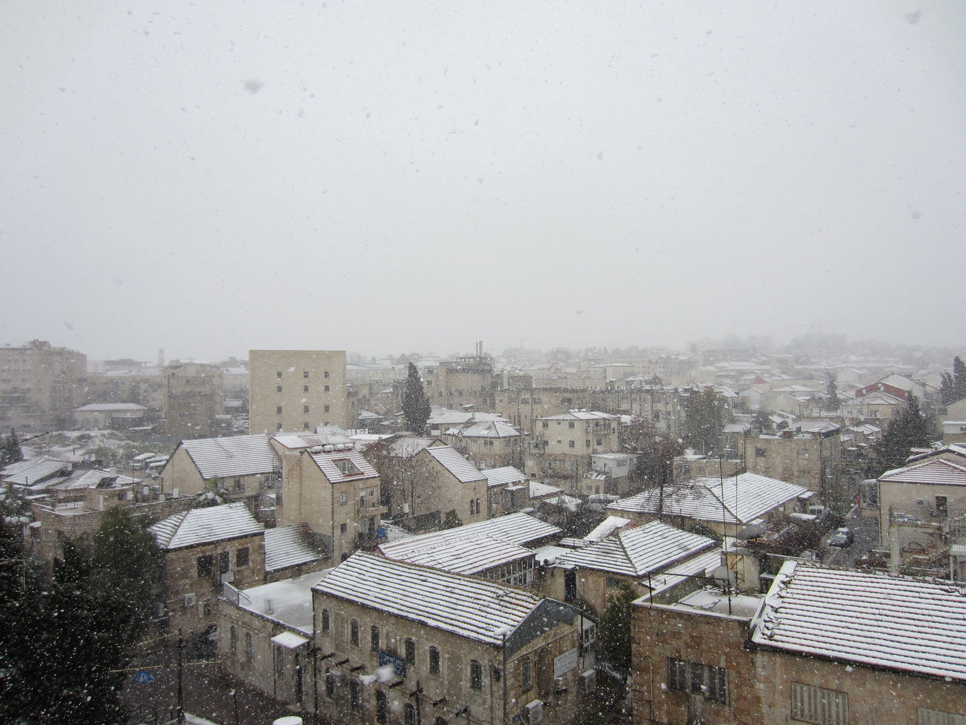 ירושלים מכוסה שלג, הלימודים בעיר הושבתו ● גלריה לבנה