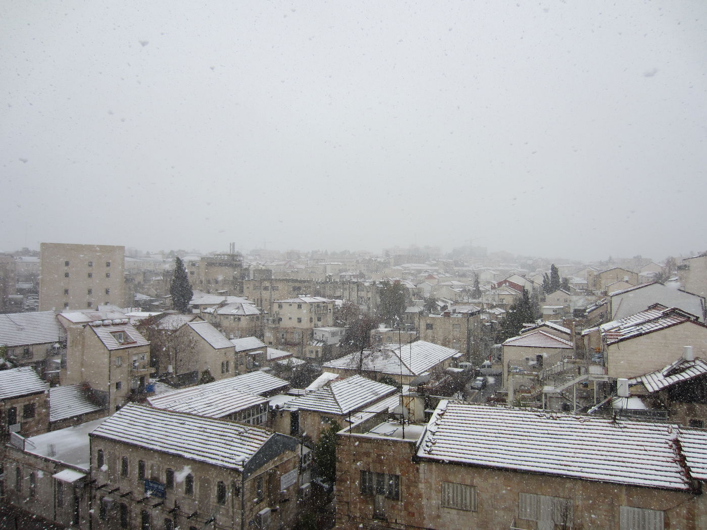 ירושלים מכוסה שלג, הלימודים בעיר הושבתו ● גלריה לבנה