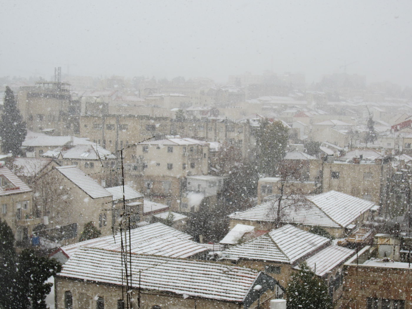 ירושלים מכוסה שלג, הלימודים בעיר הושבתו ● גלריה לבנה