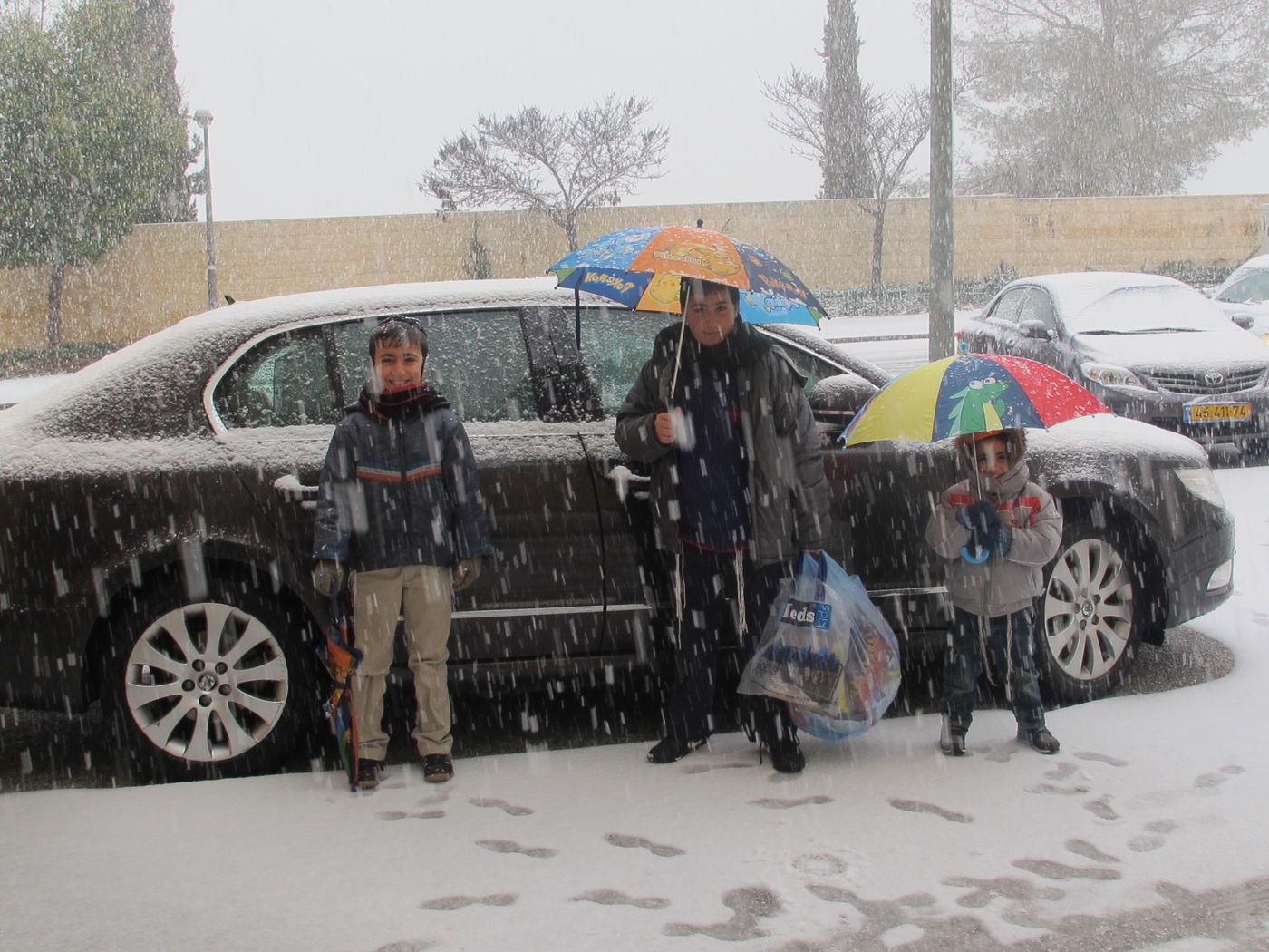 ירושלים מכוסה שלג, הלימודים בעיר הושבתו ● גלריה לבנה